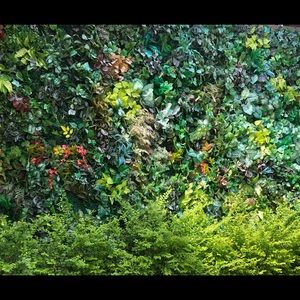 Meet your Posher, Evita